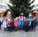 SAM_3966