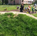 20190531_142828