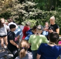 IMG_20240515_115842