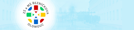 Primary Raster logo